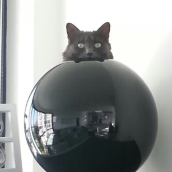sfkitty